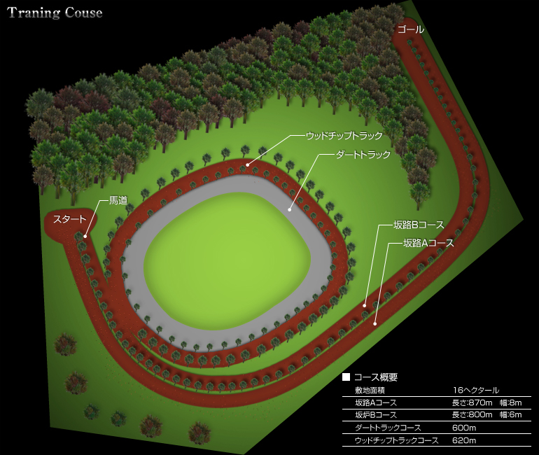 トレーニングコース紹介